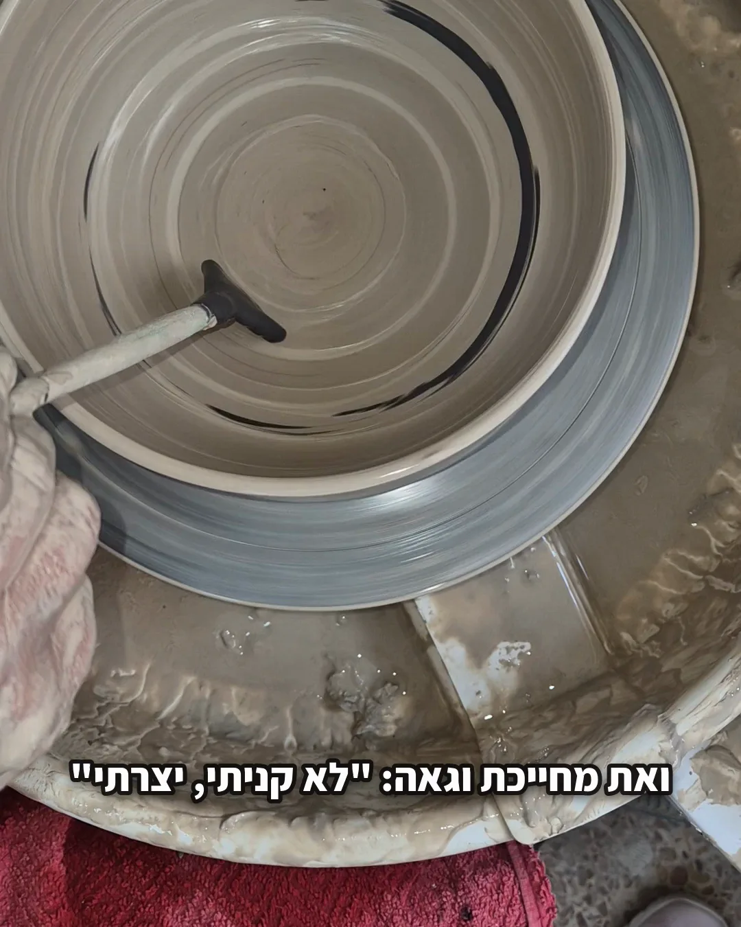 A frame from the video with Hadar's line in the caption: "I didn't buy it, I made it"